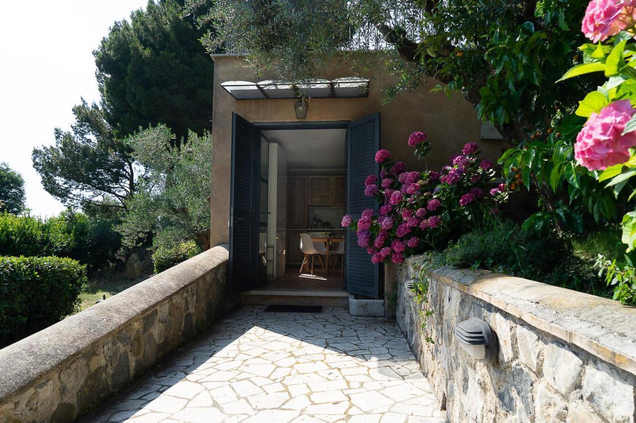 Frascati Country House Grottaferrata Ngoại thất bức ảnh