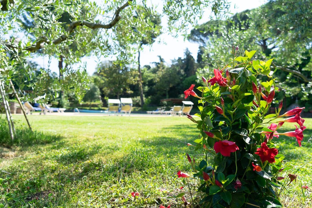 Frascati Country House Grottaferrata Ngoại thất bức ảnh